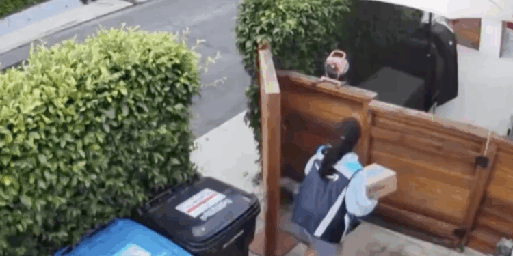 Amazon despide a repartidora captada defecando y orinando en casas de Los Ángeles